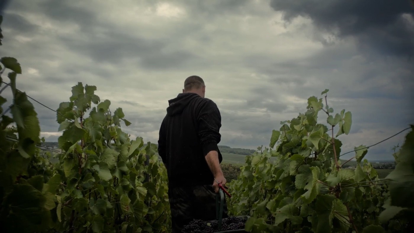 Dom Pérignon Rosé — The Thrill